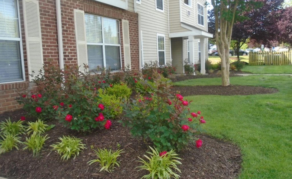 Rio Hill Apartments flower bed